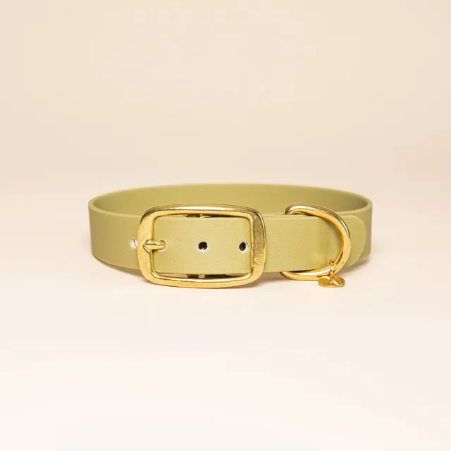fid-le-paris-colliers-collier-chien-vert-tilleul-boucle-laiton image 1