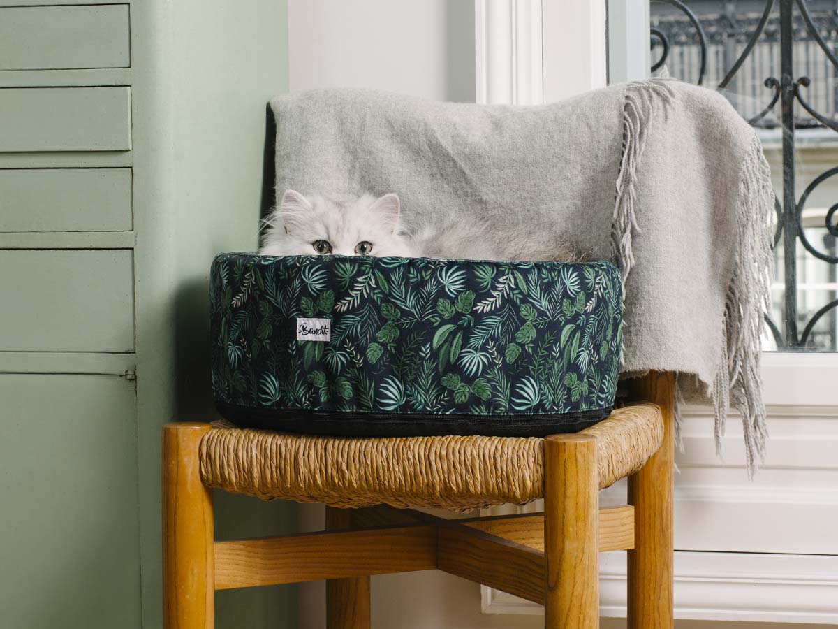 bandit-bandizzz-panier-chat-rond-40-cm-jungle image 2