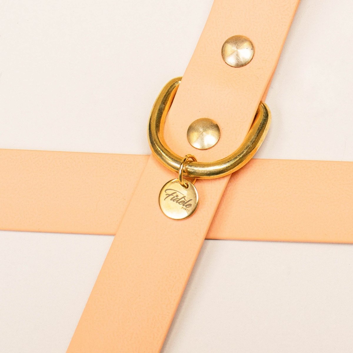 fid-le-paris-l-aventurier-collier-chien-abricot-imperm-able image 3