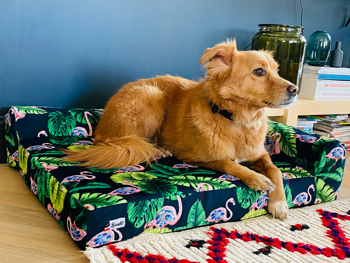bandit-panier-chien-flamants-roses-couchage-mousse-matelas image 2