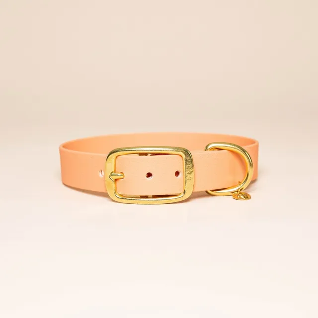 fid-le-paris-l-aventurier-collier-chien-abricot-imperm-able image 1