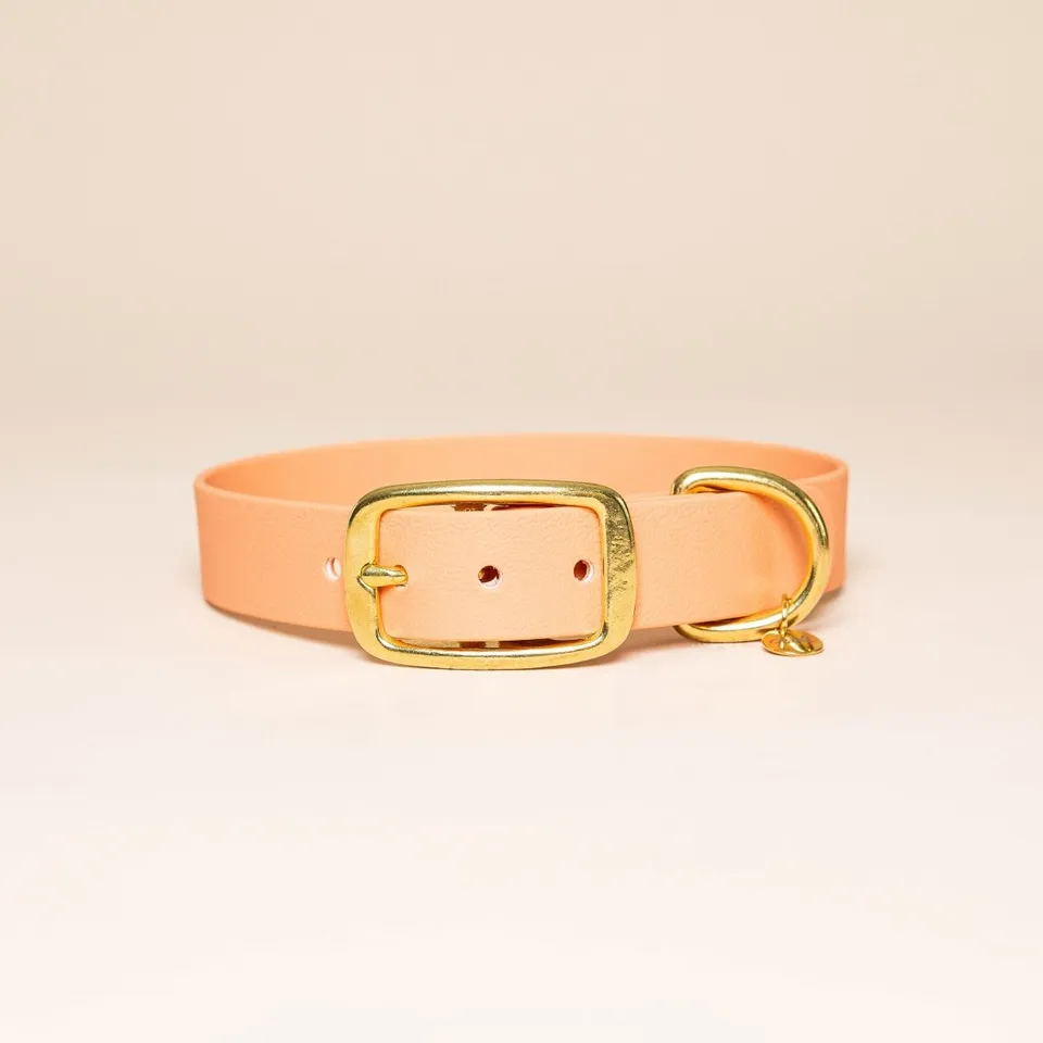 fid-le-paris-l-aventurier-collier-chien-abricot-imperm-able image 1