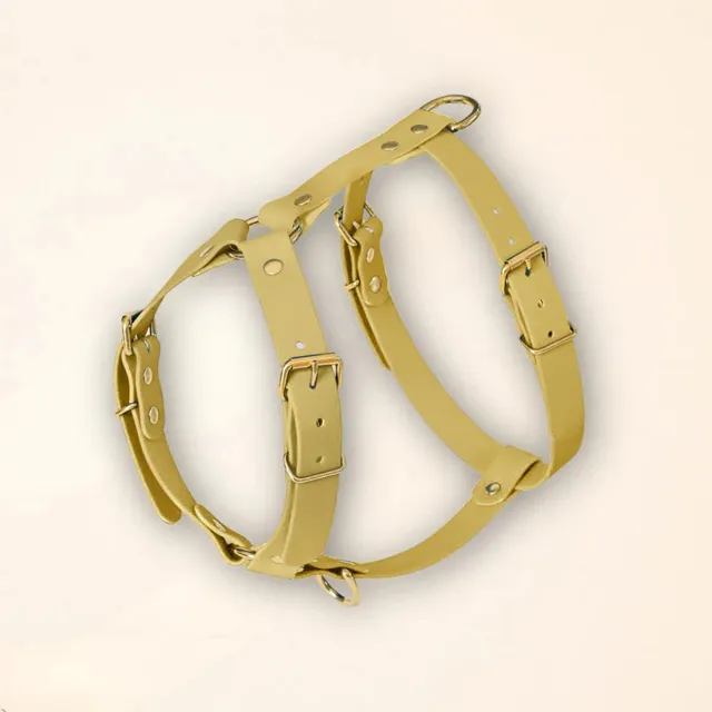 fid-le-paris-harnais-chien-vert-tilleul-confort-y image 1