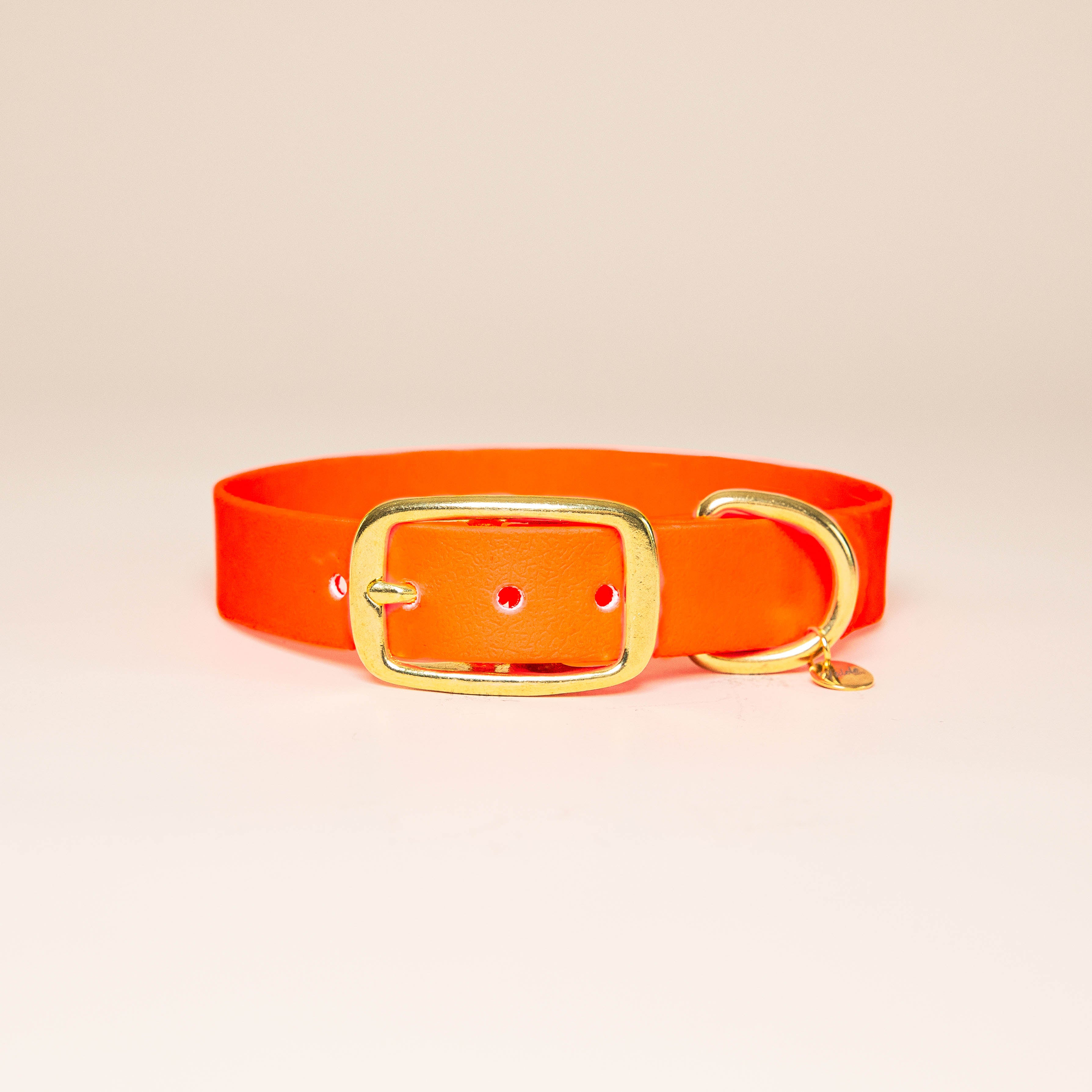fid-le-paris-l-aventurier-collier-chien-orange-fluo-imperm-able image 1