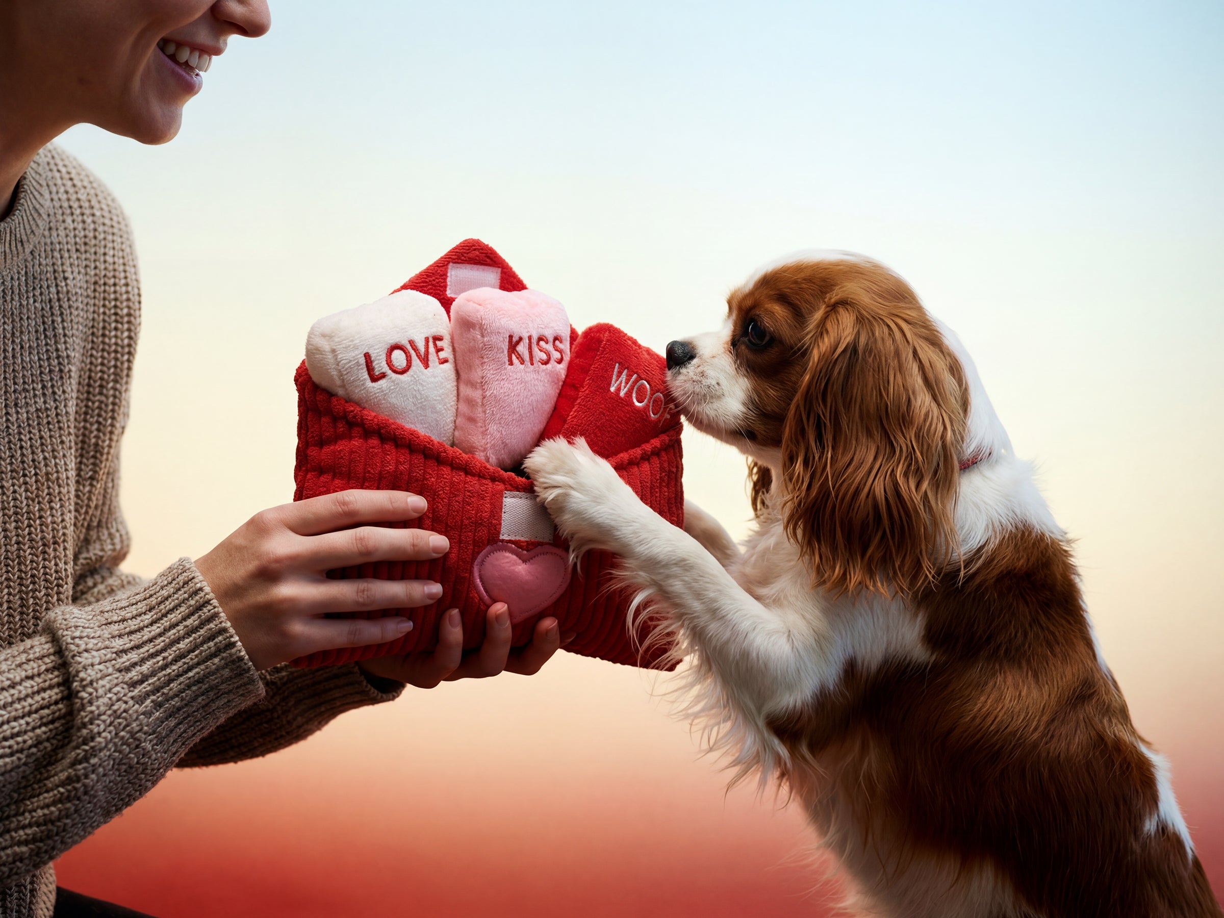 bandit-jouets-message-d-amour-jouet-chien-velours-couineur image 3