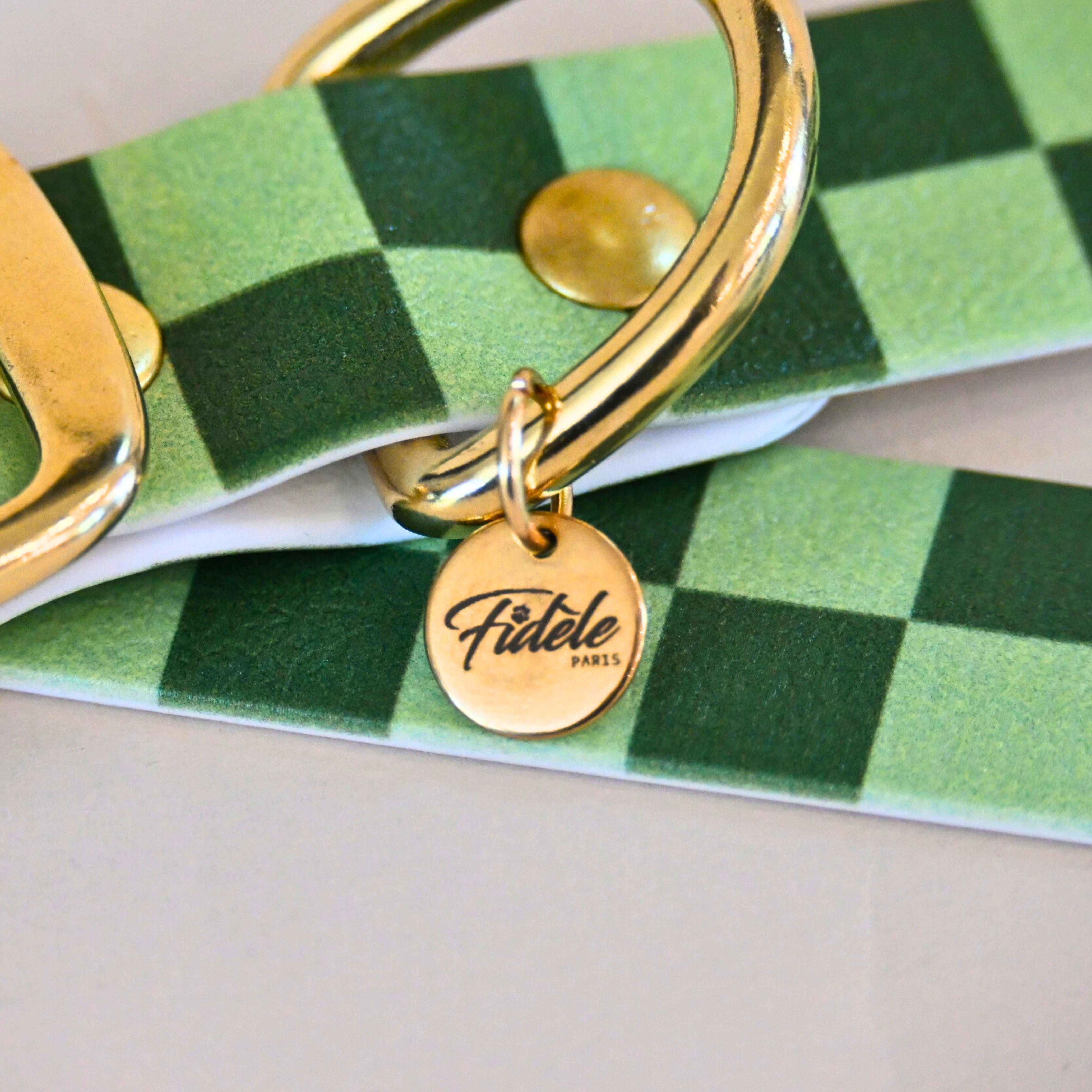 fid-le-paris-damier-collier-chien-vert-m-34-40-cm-waterproof image 2