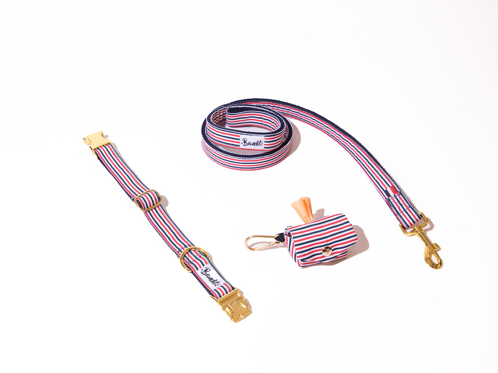 bandit-les-kits-collier-laisse-pochette-chien-moyen-the-french-banban-120cm image 1