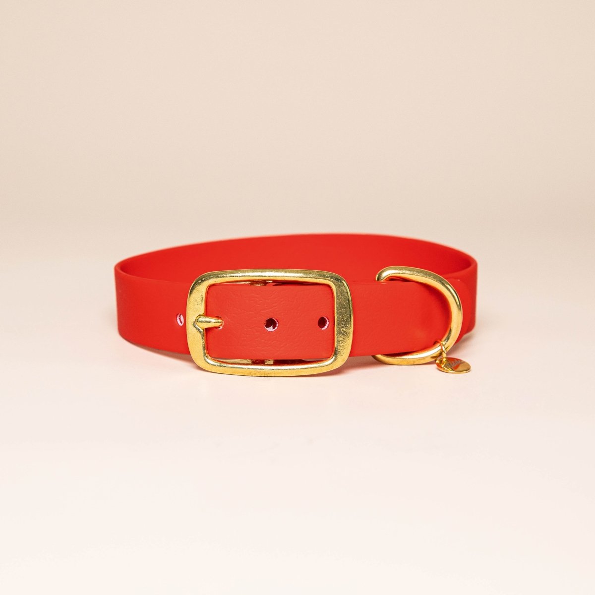 fid-le-paris-colliers-collier-chien-rouge-r-sistant image 1