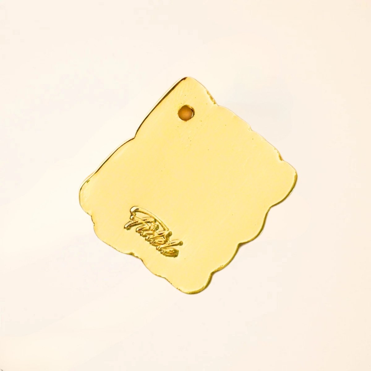 fid-le-paris-m-dailles-z-phir-m-daille-chien-gravure-offerte image 2