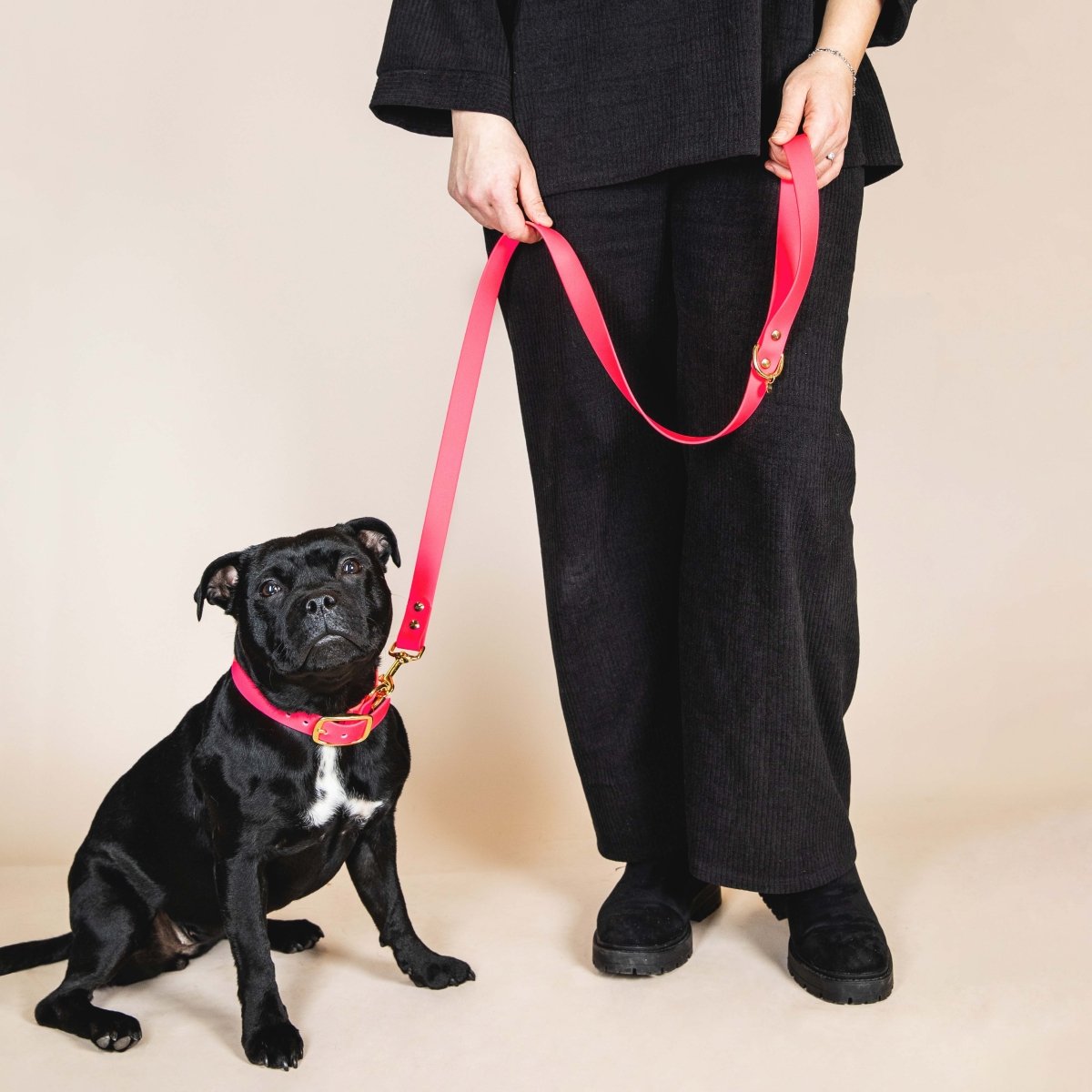 fid-le-l-aventurier-laisse-chien-rose-fluo-tpu image 2