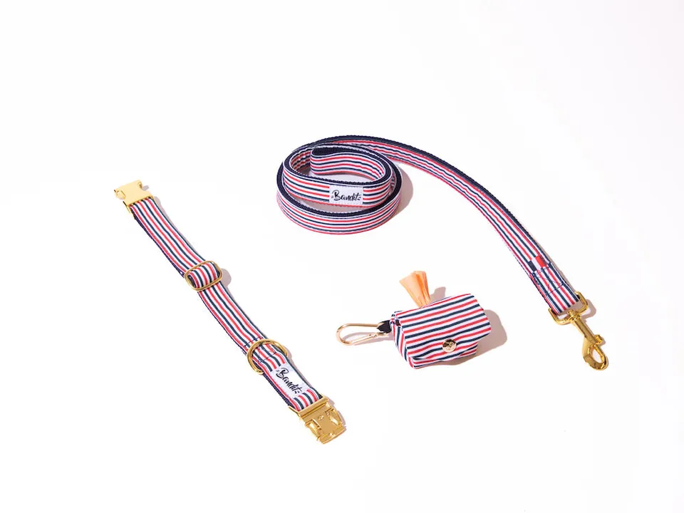 bandit-les-kits-collier-laisse-pochette-chien-moyen-the-french-banban-120cm image 1