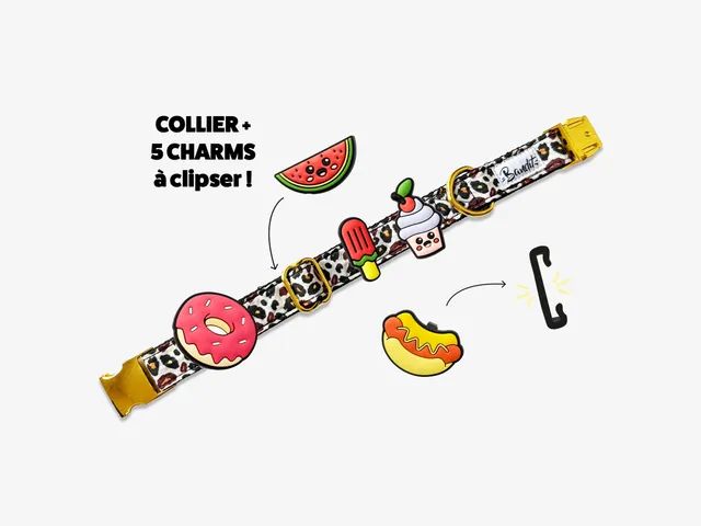 bandit-les-kits-collier-chien-5-charms-french-banban-moyen image 1