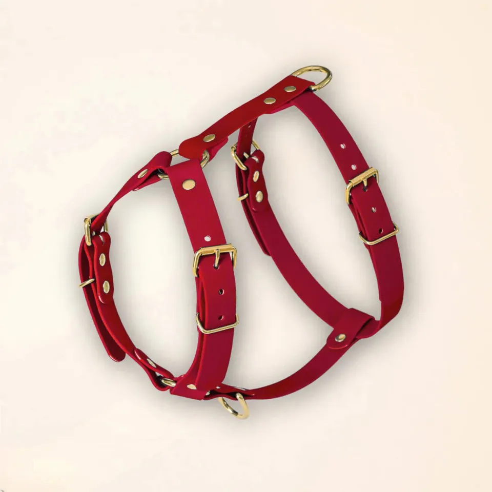 fid-le-paris-bordeaux-harnais-chien-bordeaux-imperm-able image 1