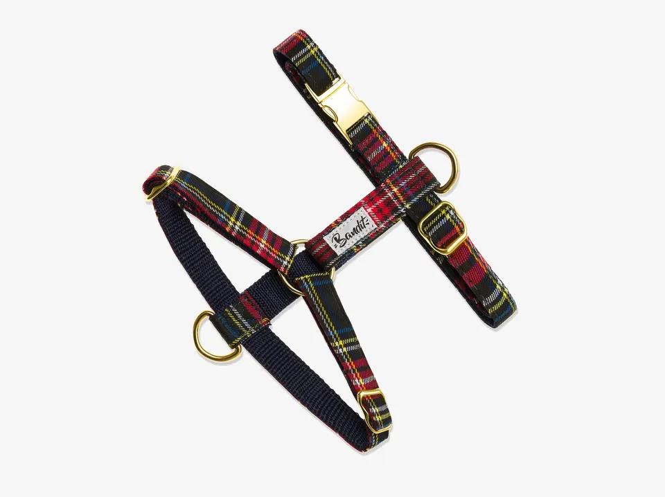 bandit-tartan-harnais-chien-moyen-nylon-r-glable image 1