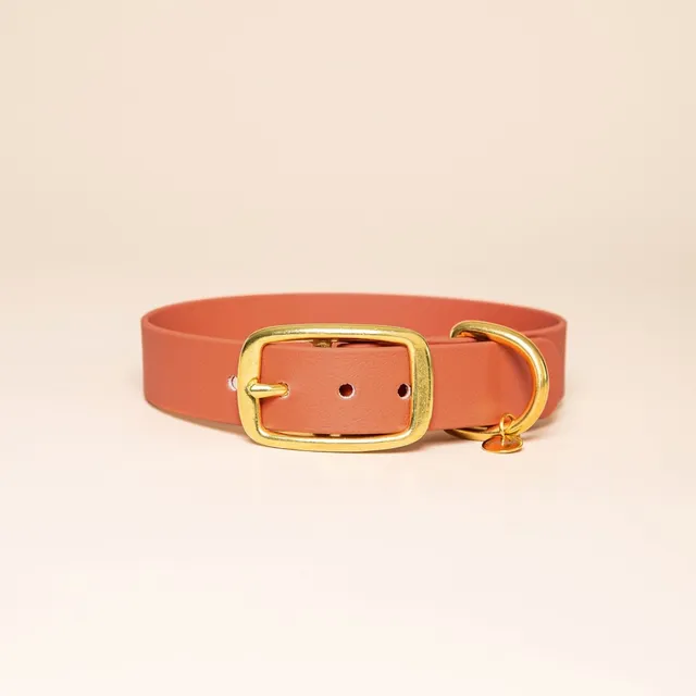 fid-le-paris-colliers-collier-chien-terracotta-laiton image 1