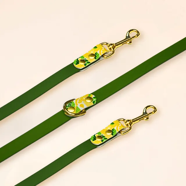 fid-le-paris-lemon-laisse-multi-positions-olive-20-mm-imperm-able image 1
