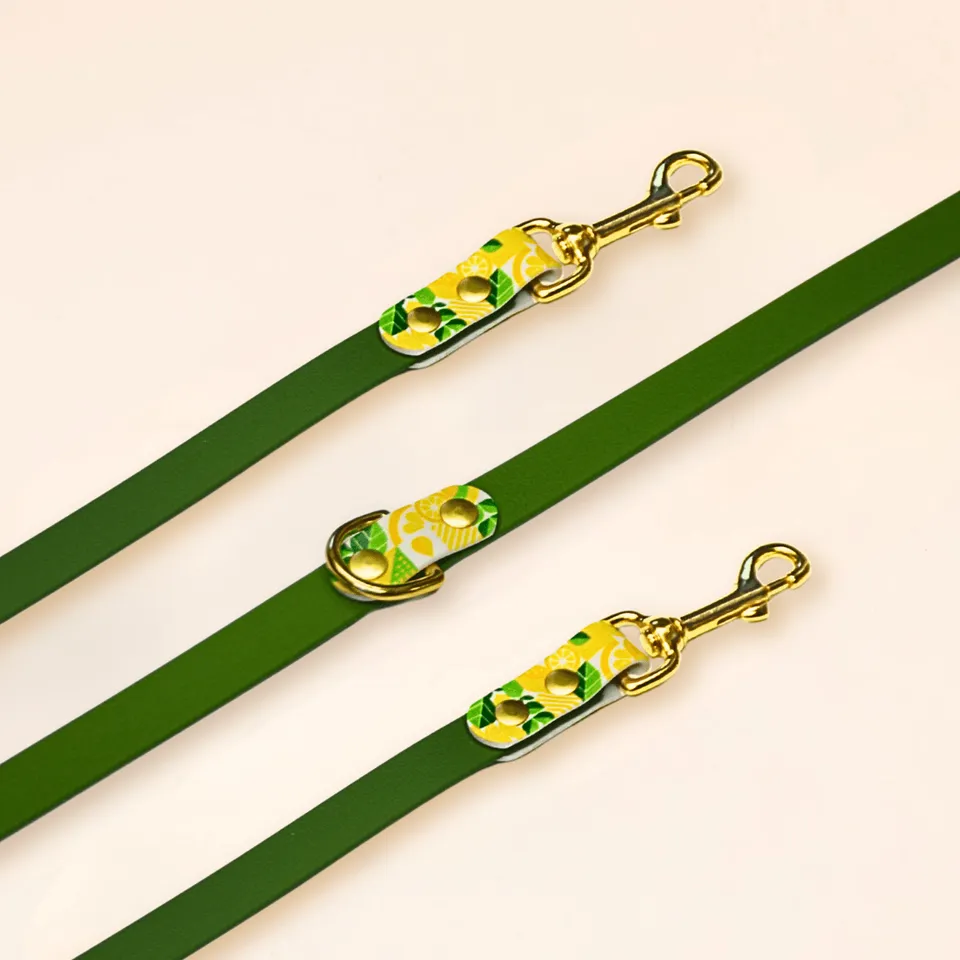 fid-le-paris-lemon-laisse-multi-positions-olive-20-mm-imperm-able image 1