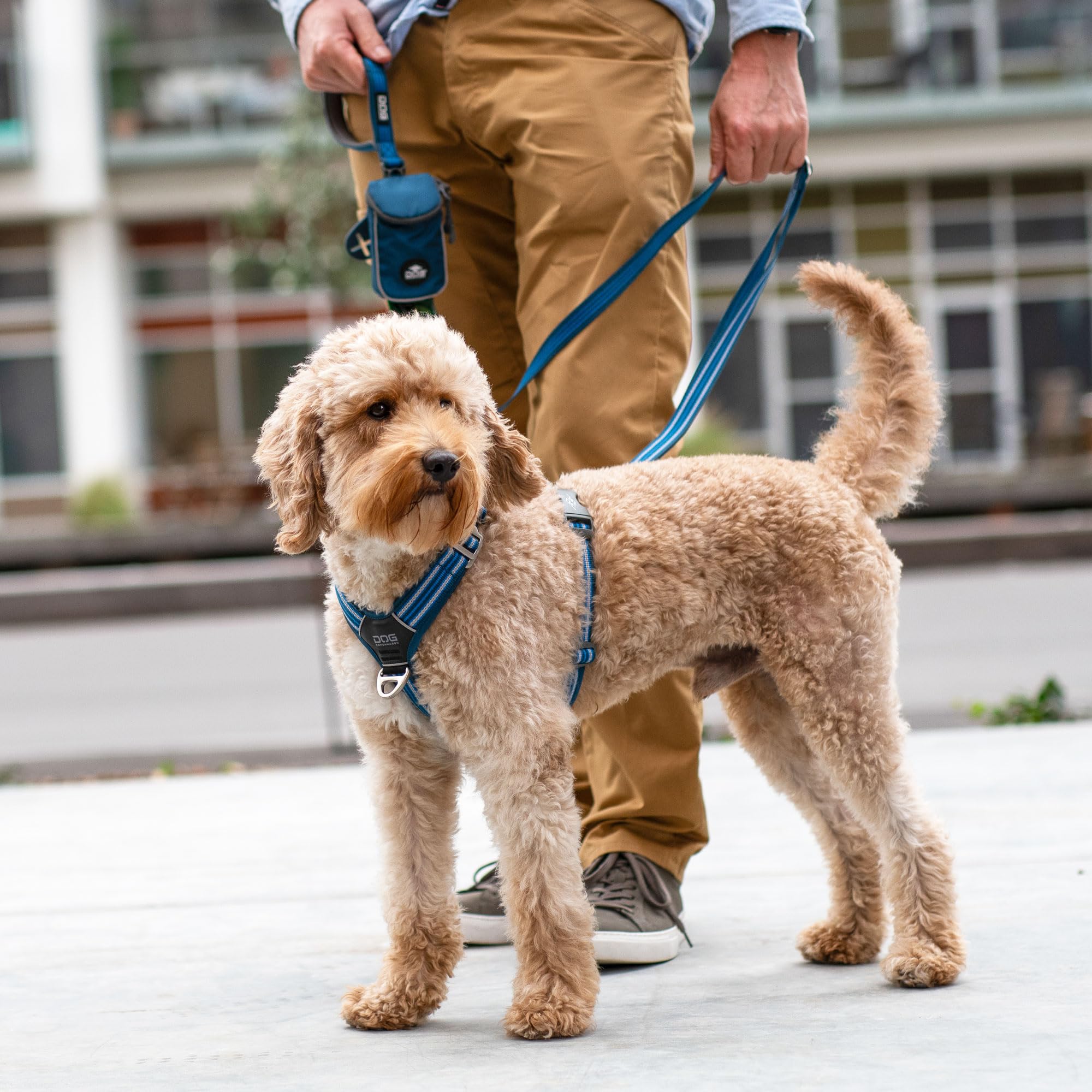 dog-copenhagen-comfort-walk-air-3-0-harnais-hunting-green-xs image 7