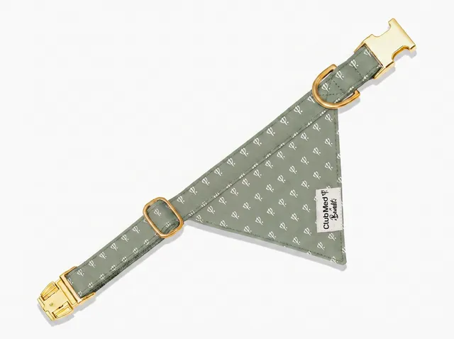 bandit-bandana-chien-club-med-lavande-collier image 1