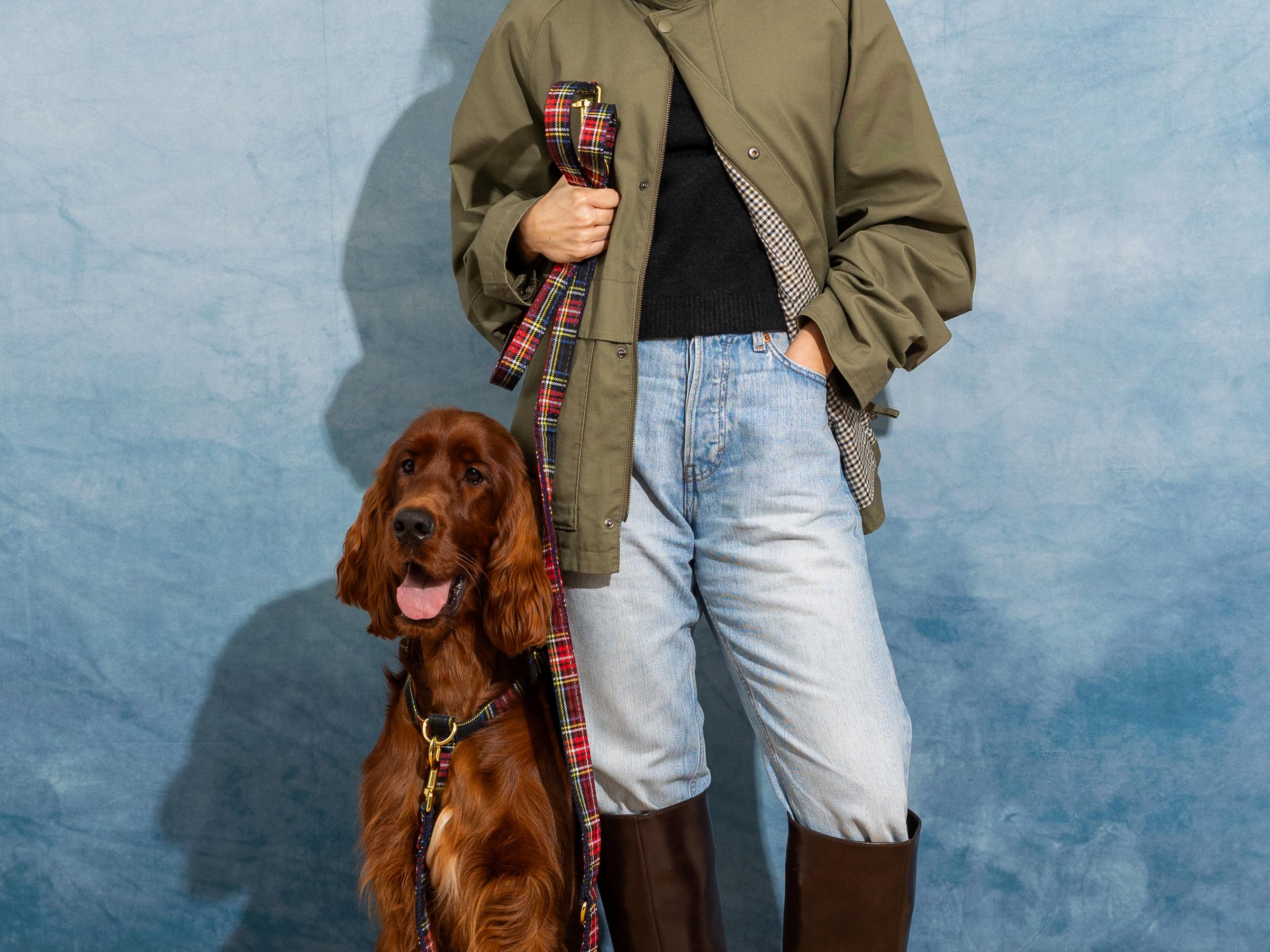 bandit-laisse-chien-tartan-oh-my-lord-120-cm image 4