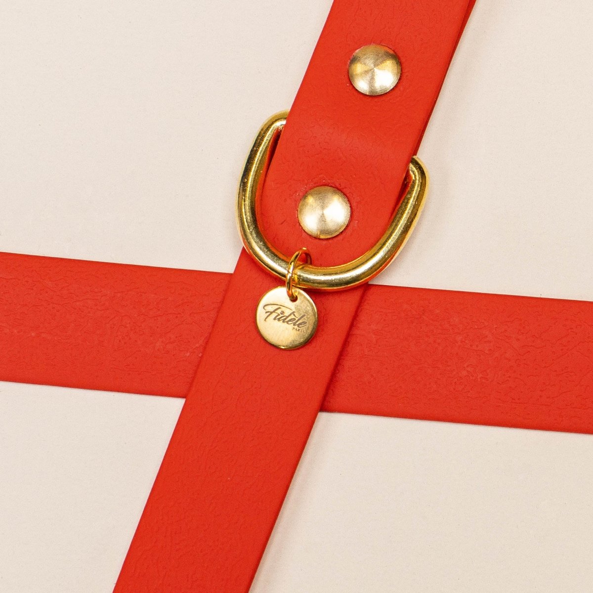 fid-le-paris-colliers-collier-chien-rouge-r-sistant image 3