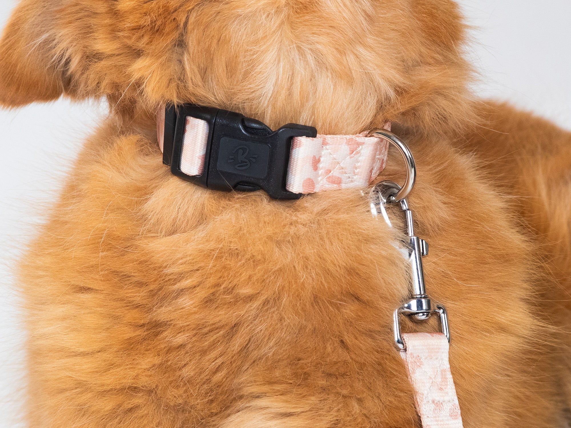 bandit-camolosse-laisse-chien-120-cm-sable image 2