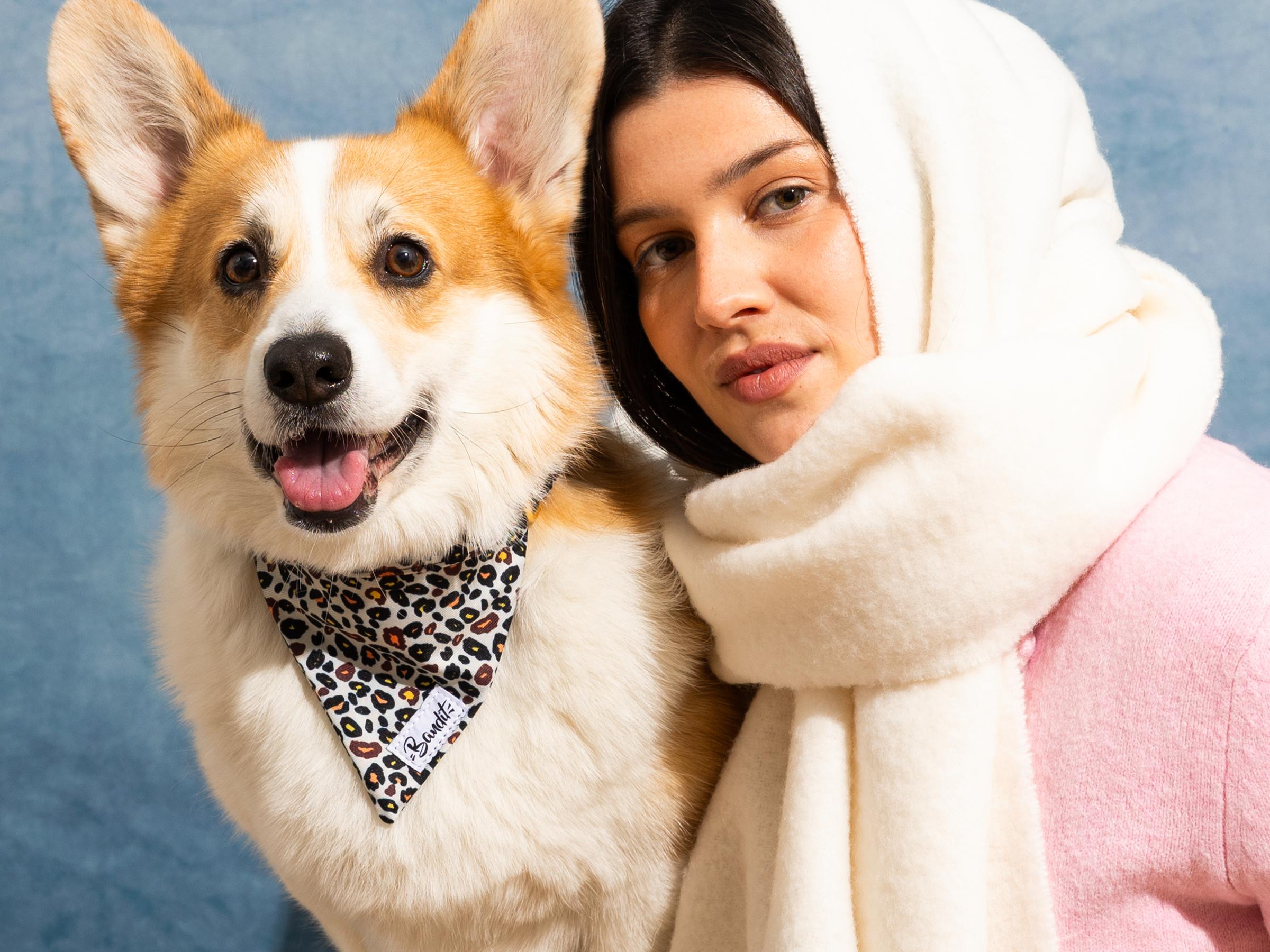 bandit-l-opard-bandana-chien-moyen-imprim image 2