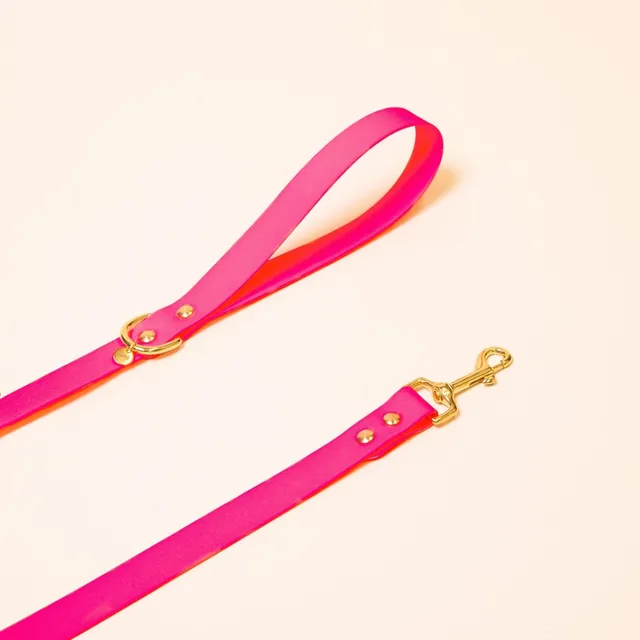 fid-le-l-aventurier-laisse-chien-rose-fluo-tpu image 1