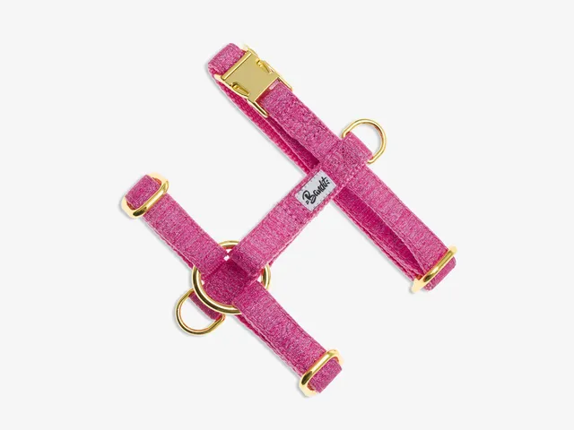 bandit-harnais-chat-harnais-rose-paillettes-taille-chat image 1