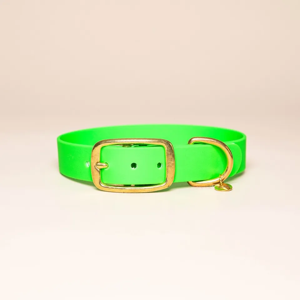 fid-le-paris-colliers-collier-chien-vert-fluo-visible image 1
