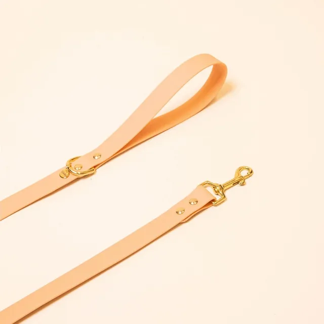 fid-le-paris-laisse-chien-abricot-orange-pastel-25-mm image 1