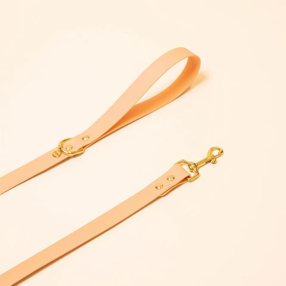 fid-le-paris-laisse-chien-abricot-orange-pastel-25-mm image 1