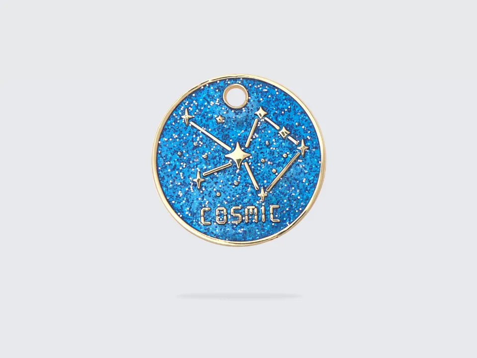 bandit-m-daille-paillettes-m-daille-chien-personnalisable-zinc image 1