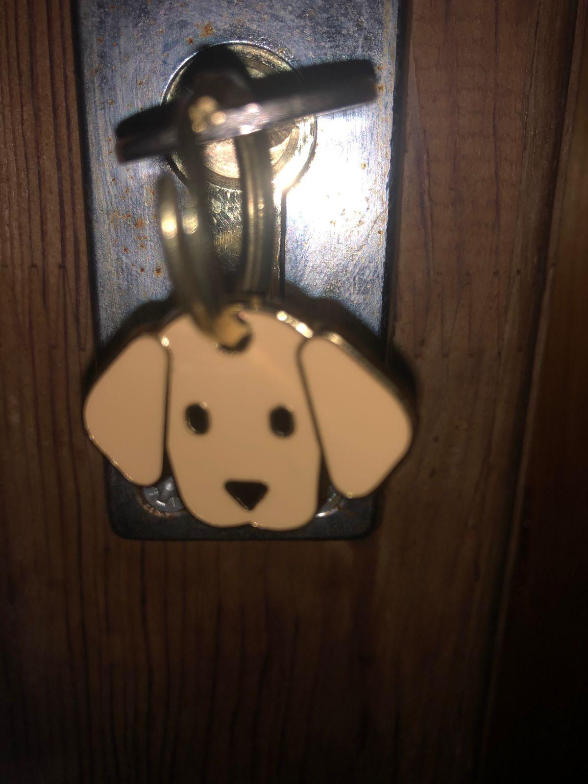 Tête de staffie