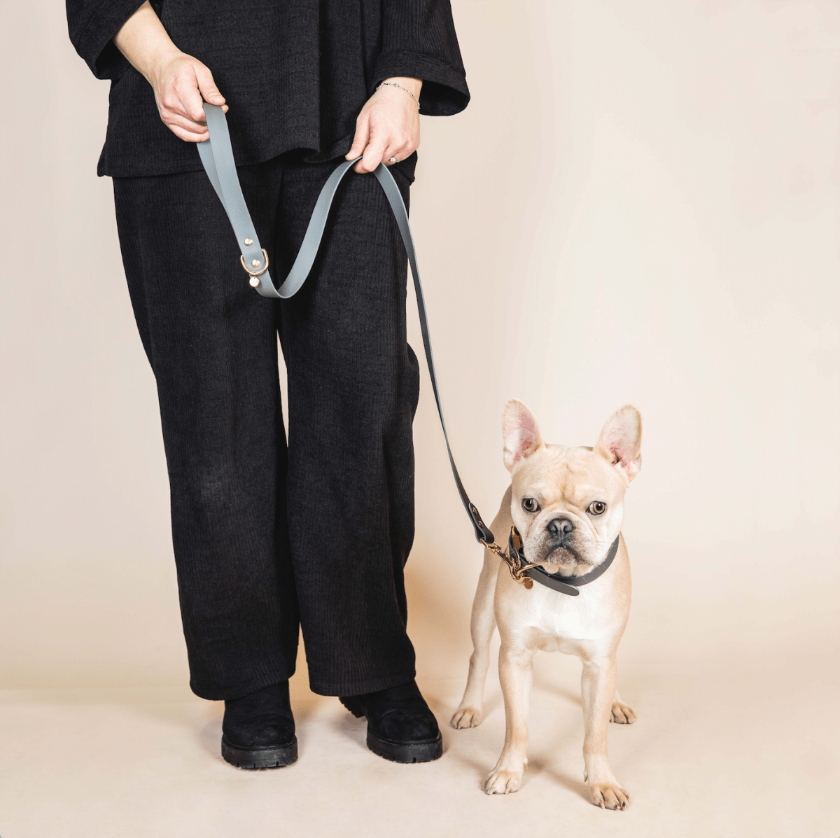 fid-le-paris-l-aventurier-laisse-chien-gris-acier-imperm-able image 2