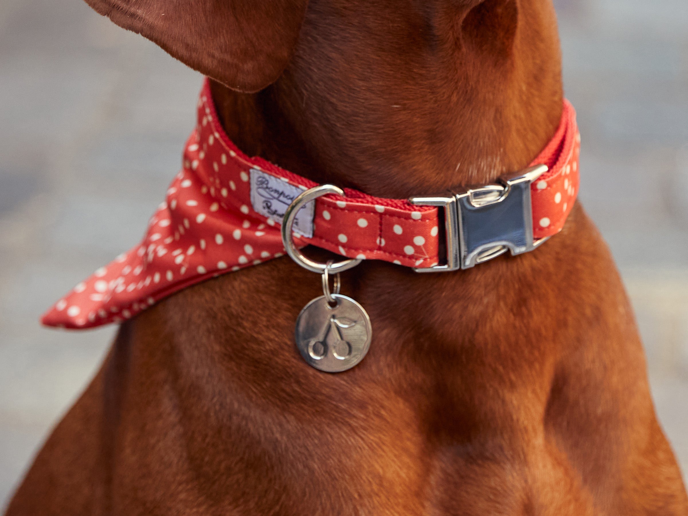 bandit-jeux-d-enfants-m-daille-chien-cerise-marine image 4