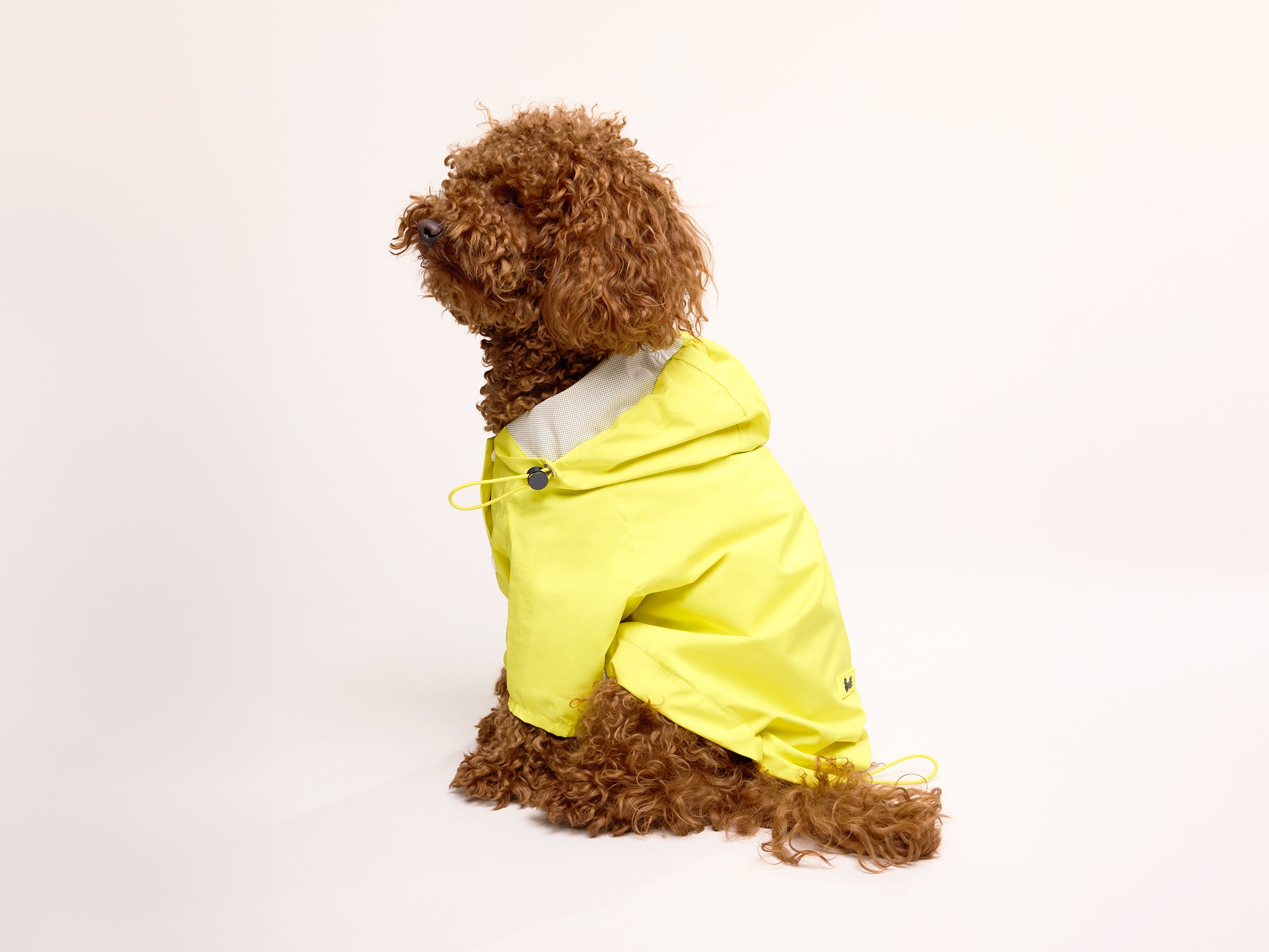 bandit-banana-split-imperm-able-chien-jaune-taille-m image 5