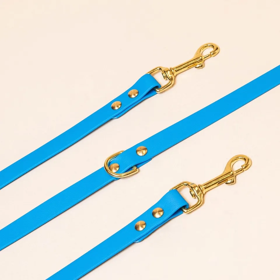 fid-le-laisse-multi-positions-chien-bleu-lectrique-tpu image 1
