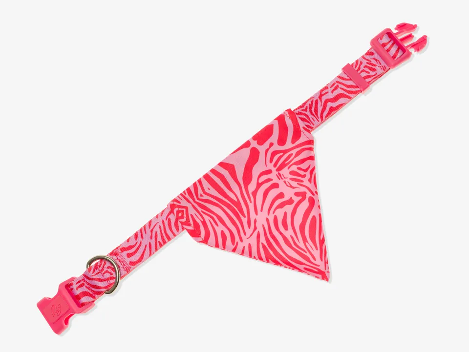 bandit-bandana-chien-pink-zebra-rose-moyen-laisse image 1