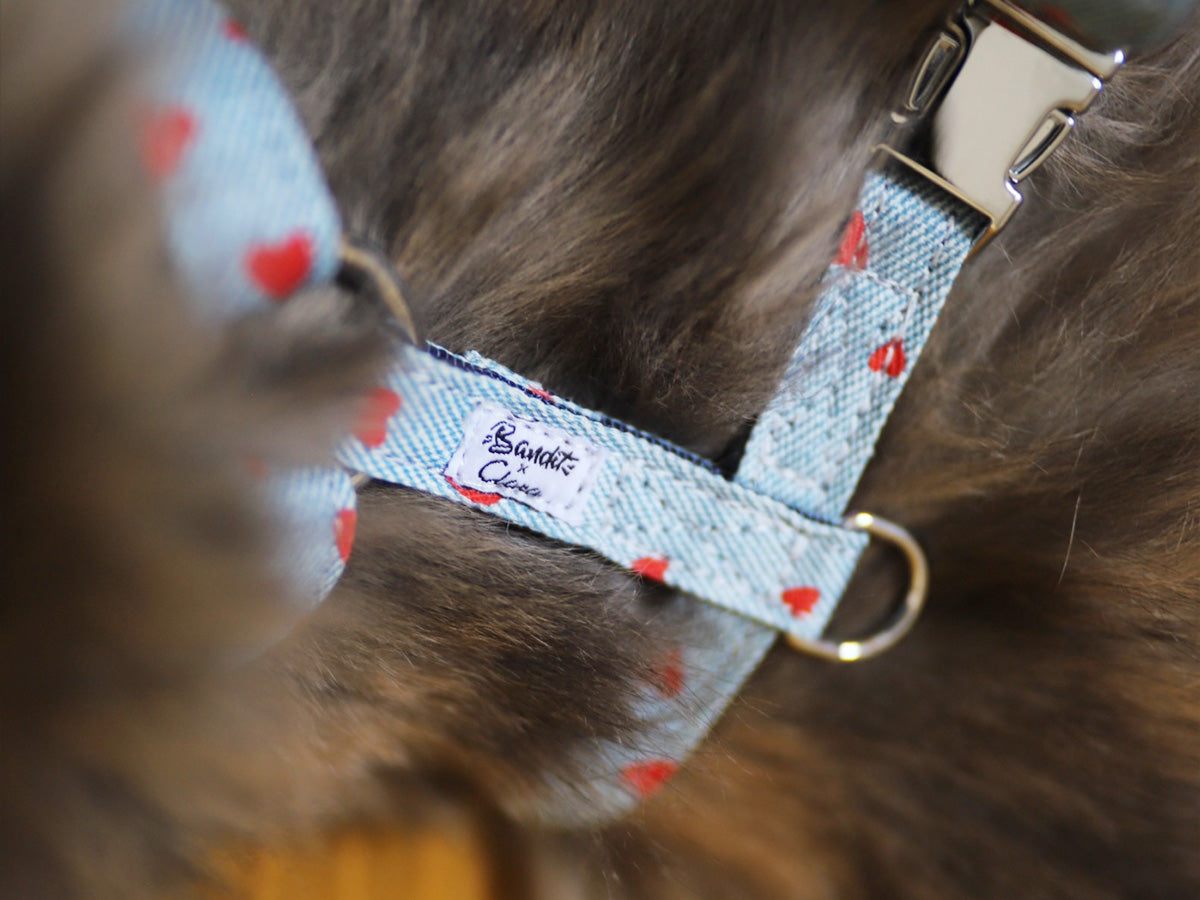bandit-denim-harnais-chat-c-urs-rouges-clara image 3