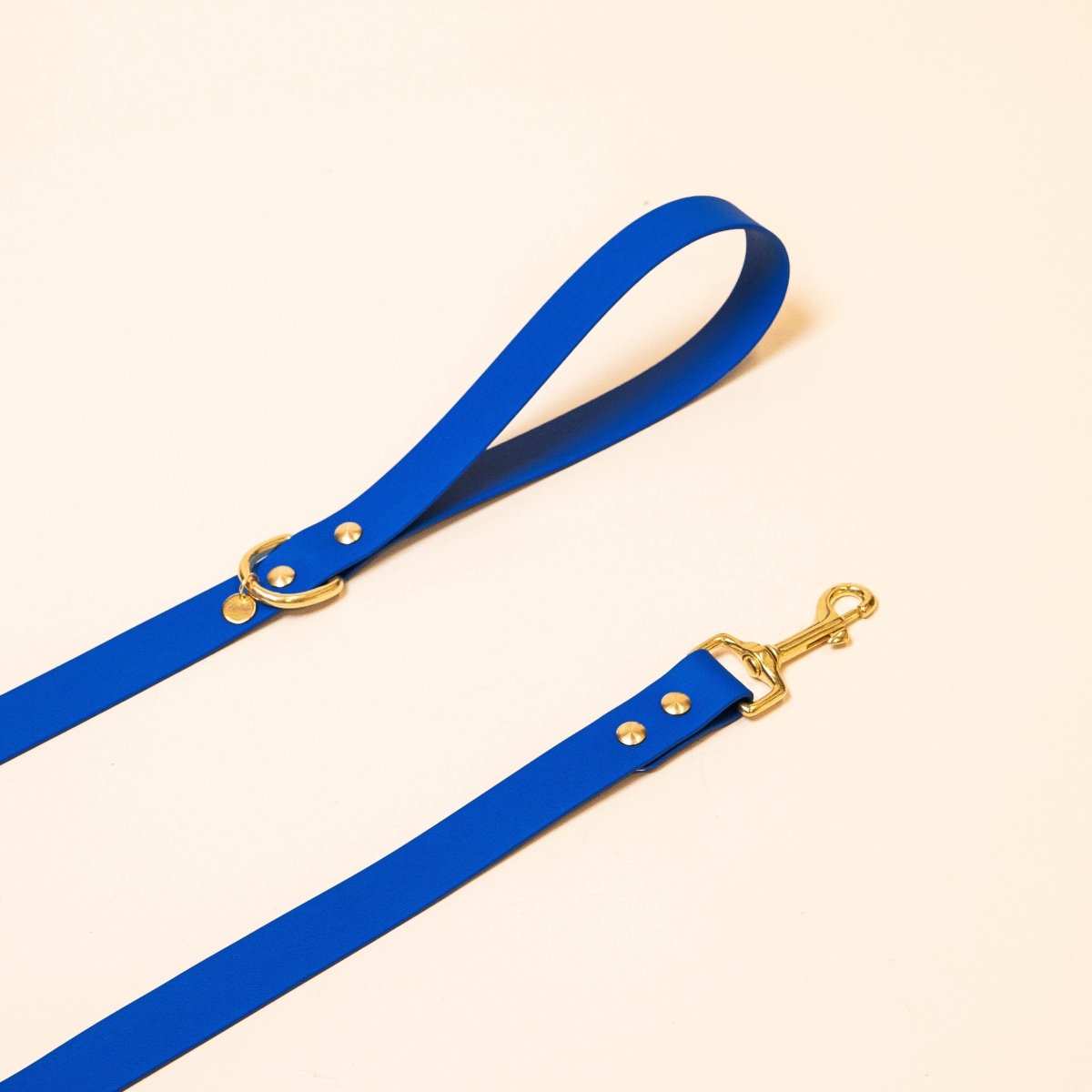 fid-le-l-aventurier-laisse-chien-bleu-roi-20-mm-imperm-able image 1