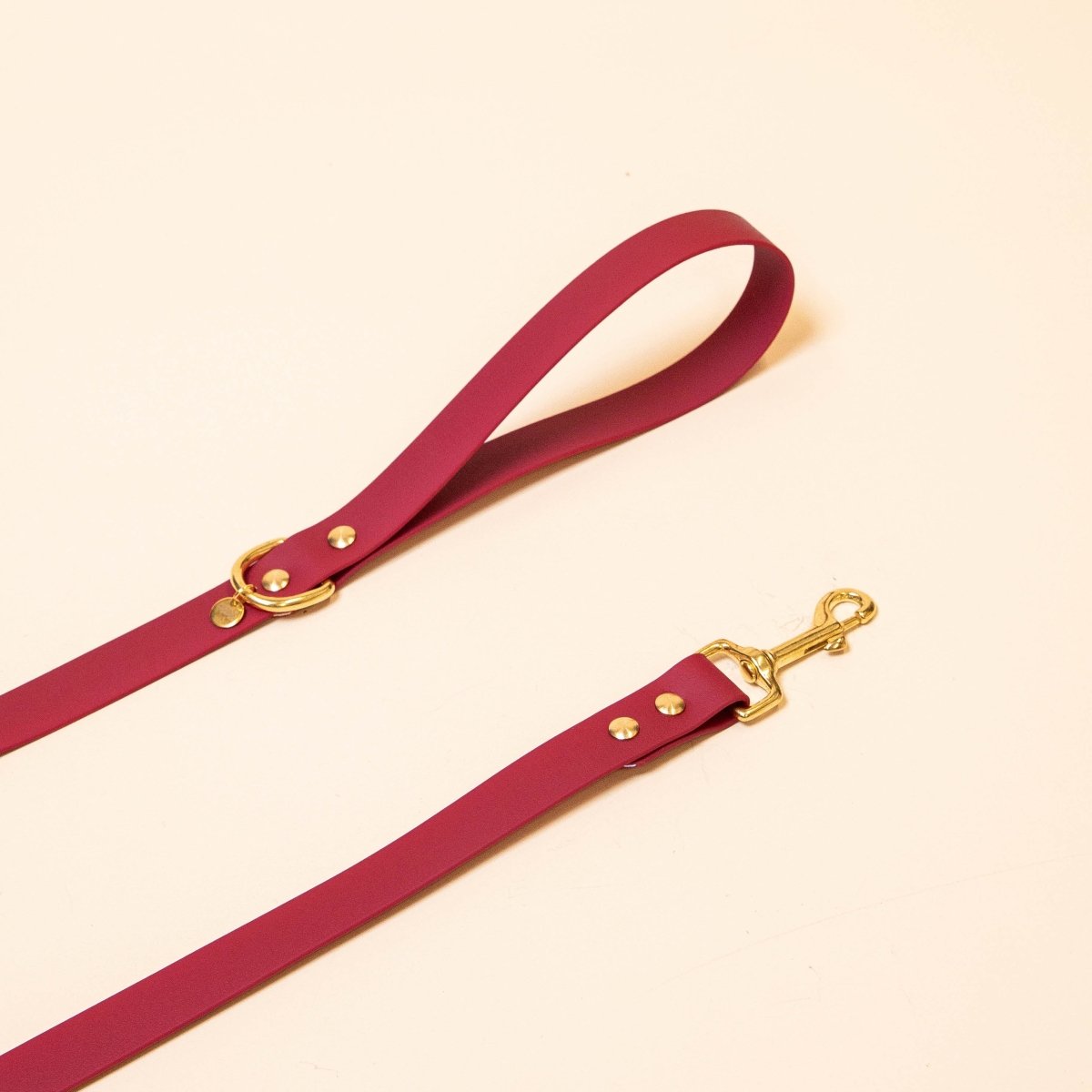 fid-le-paris-l-aventurier-laisse-chien-bordeaux-imperm-able image 1