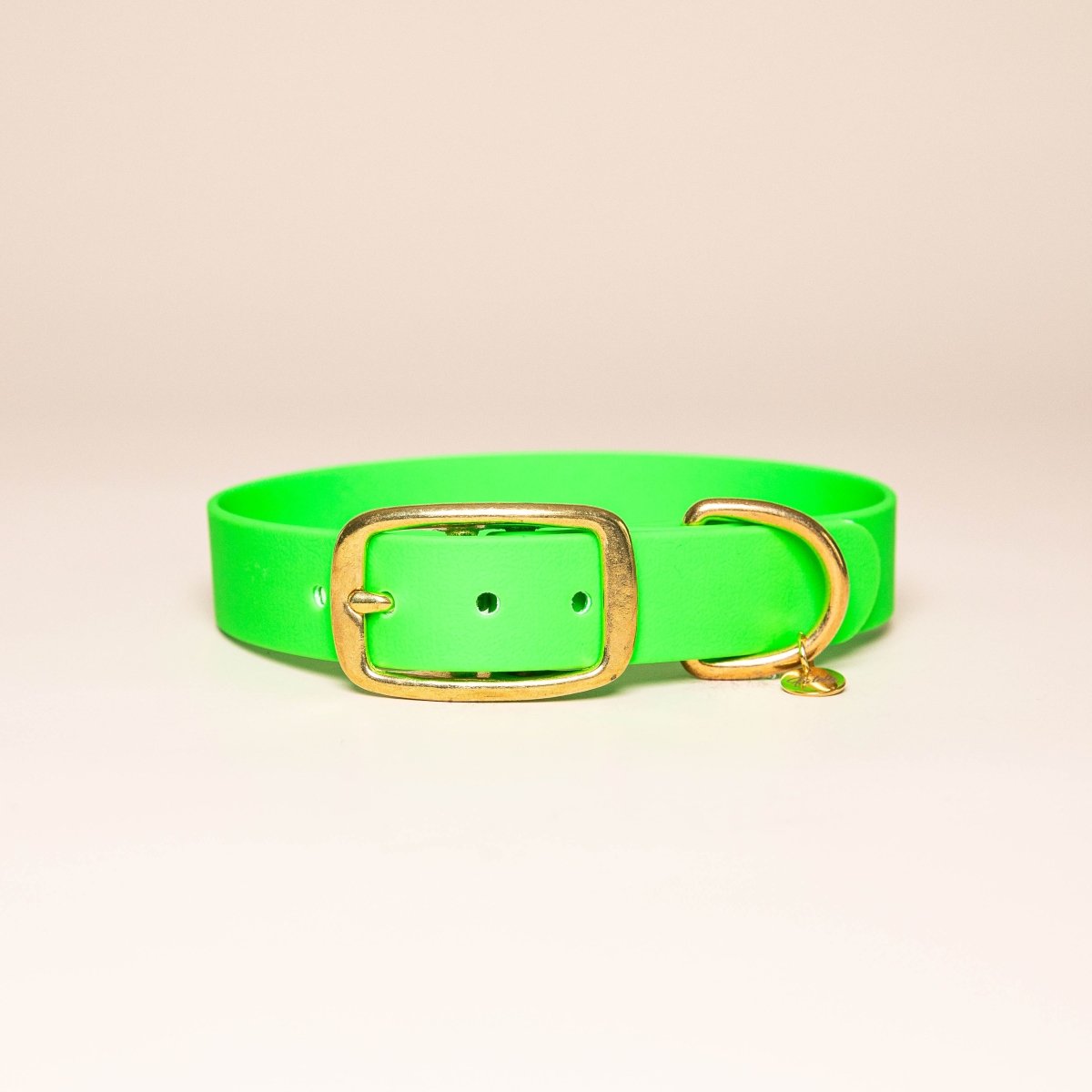 fid-le-paris-colliers-collier-chien-vert-fluo-visible image 1