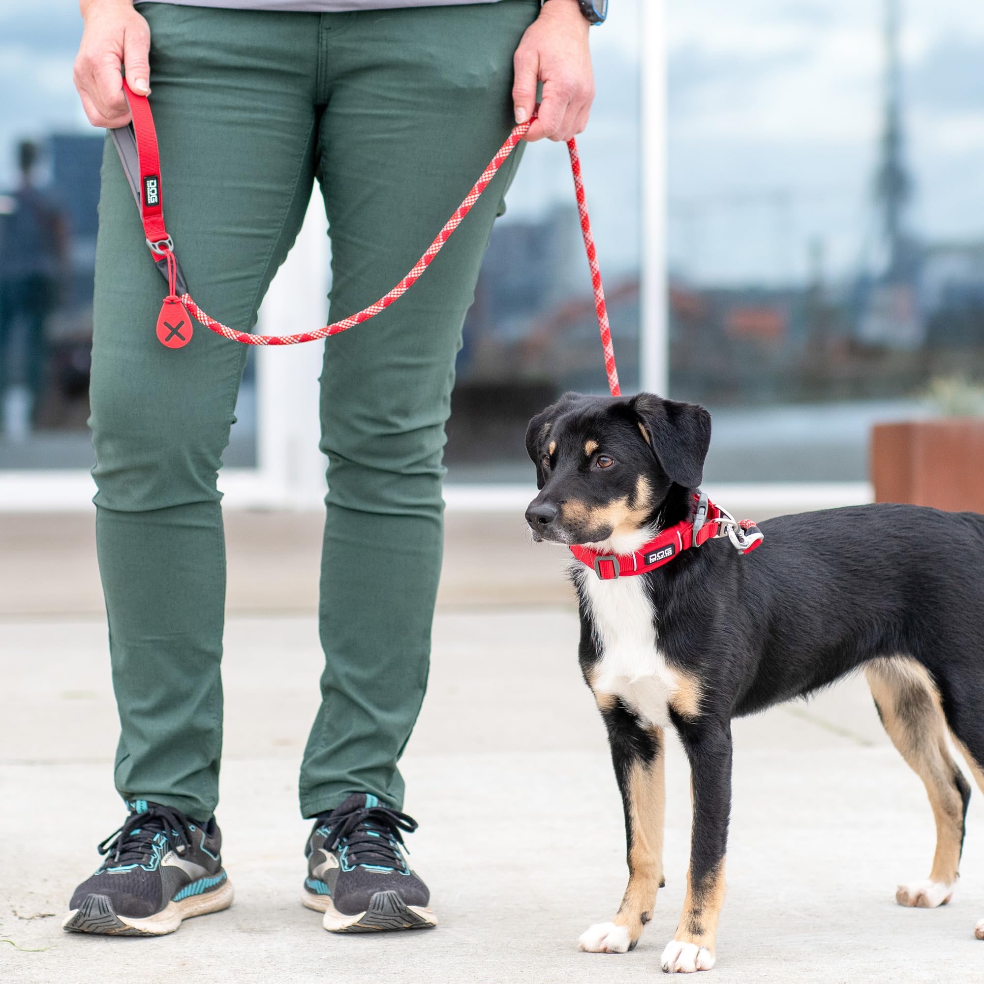 dog-copenhagen-flexy-porte-sac-crottes-desert-dune-taille-unique image 7