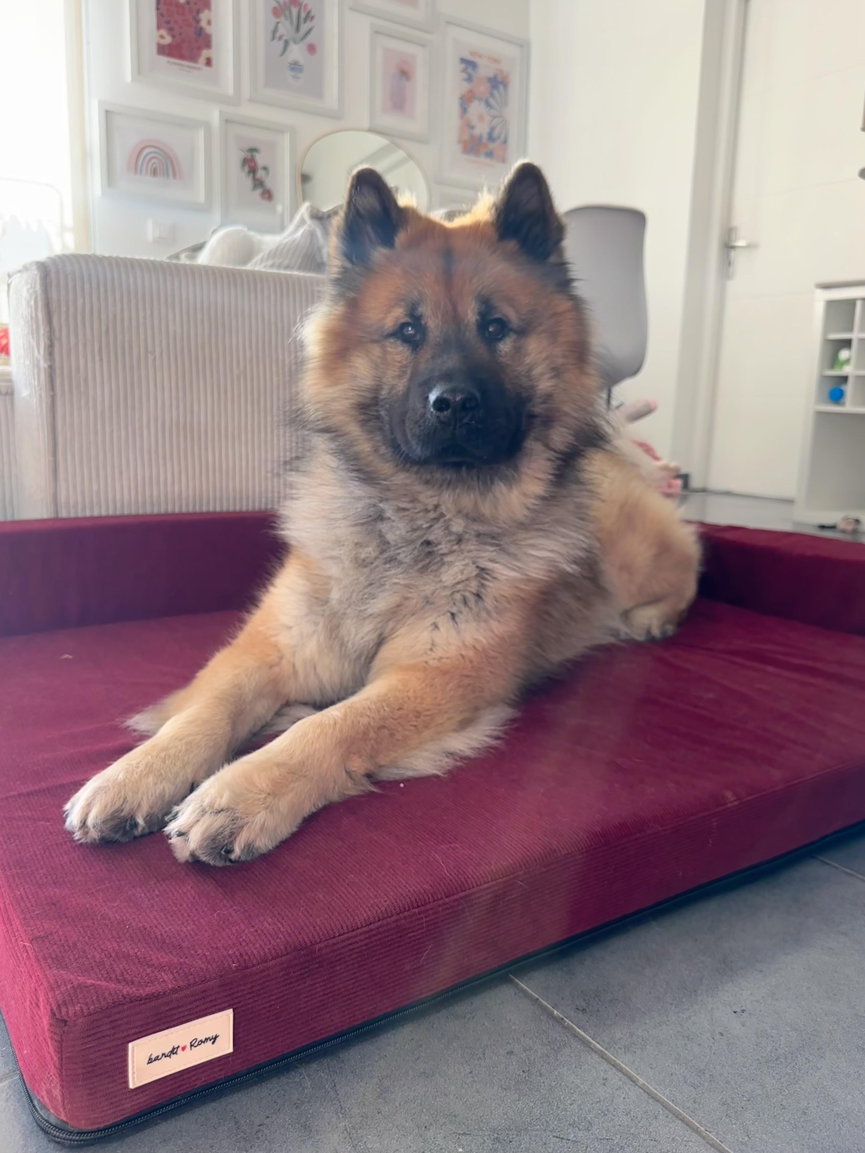 Très cosy