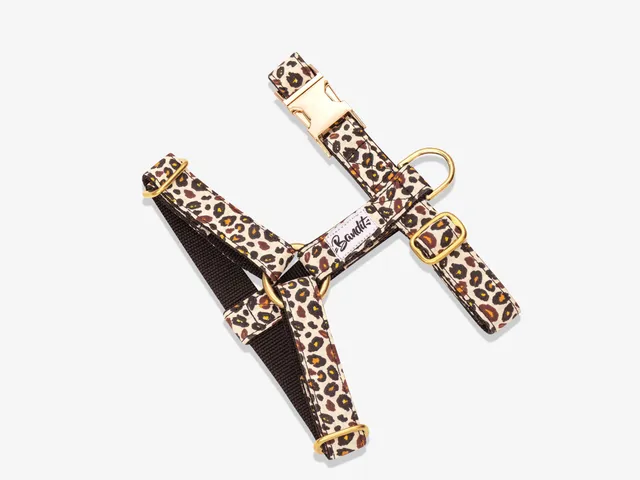 bandit-l-opard-harnais-chien-moyen-motif-l-opard image 1