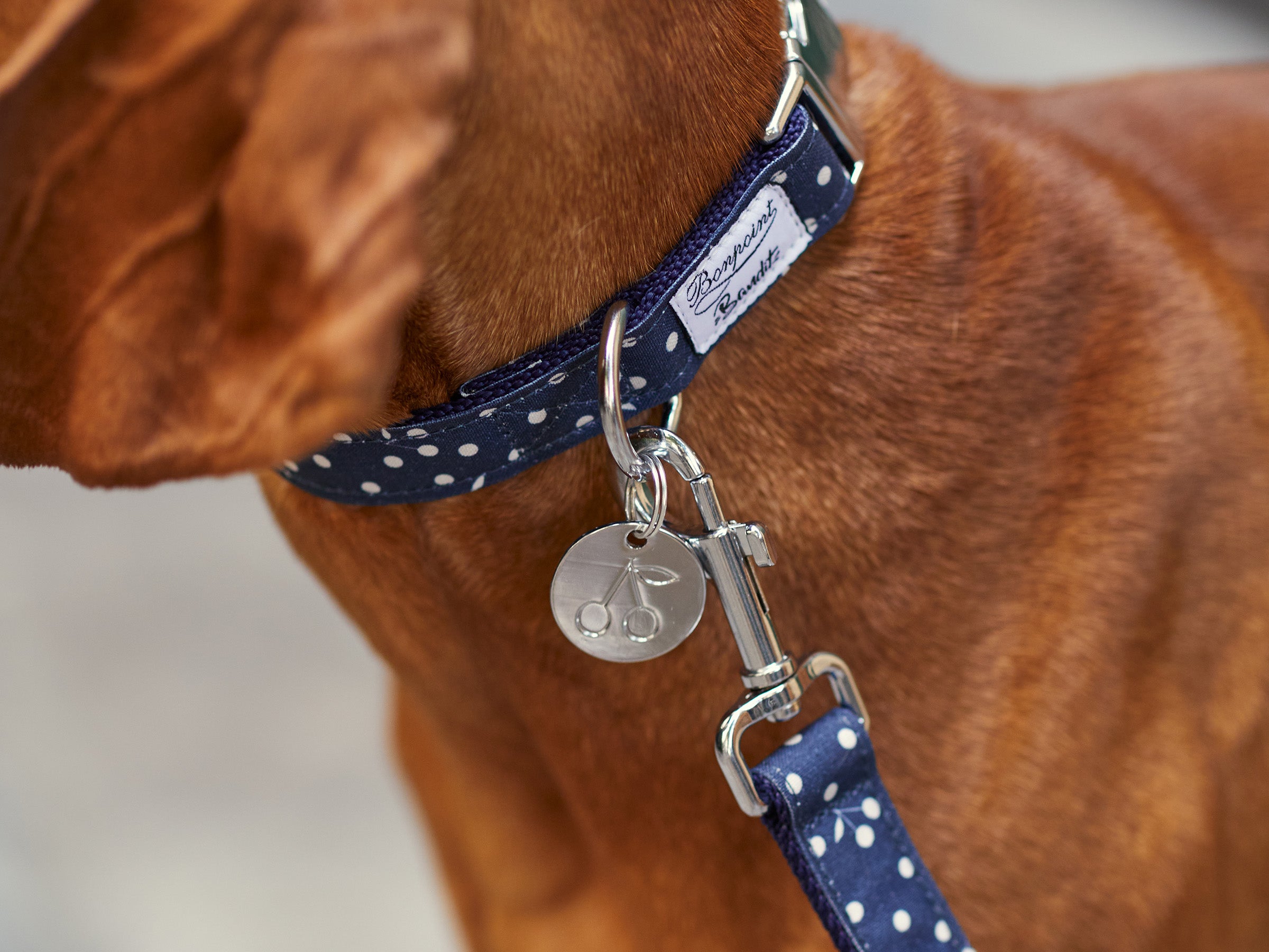 bandit-jeux-d-enfants-m-daille-chien-cerise-marine image 5