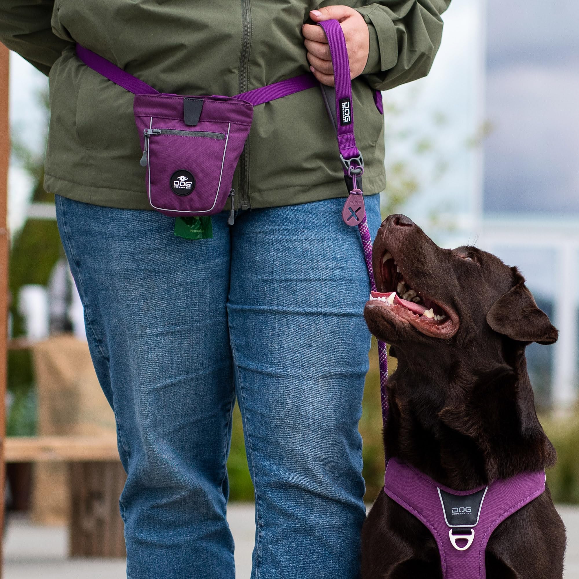 dog-copenhagen-flexy-porte-sac-crottes-desert-dune-taille-unique image 5