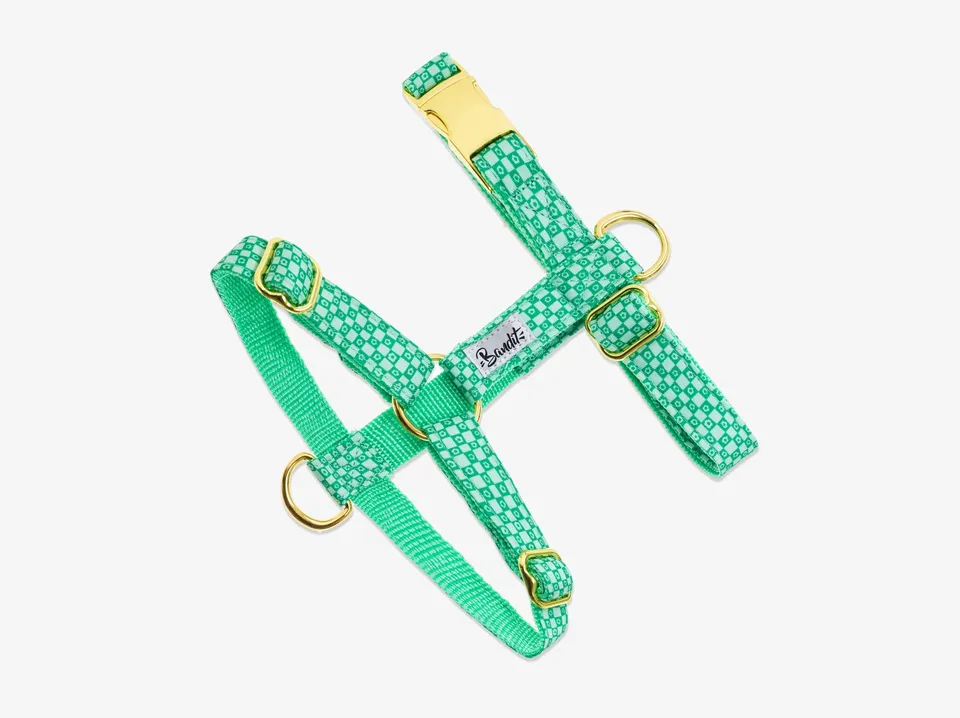 bandit-green-vibes-only-harnais-chien-carreaux-verts-m image 1