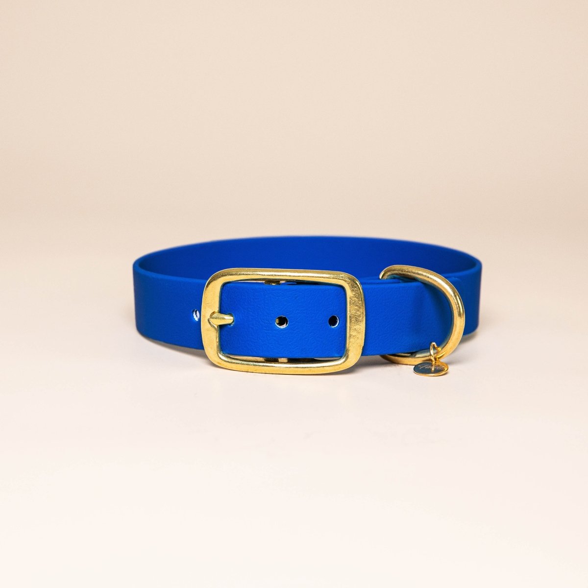 fid-le-paris-collier-chien-bleu-roi-laiton image 1